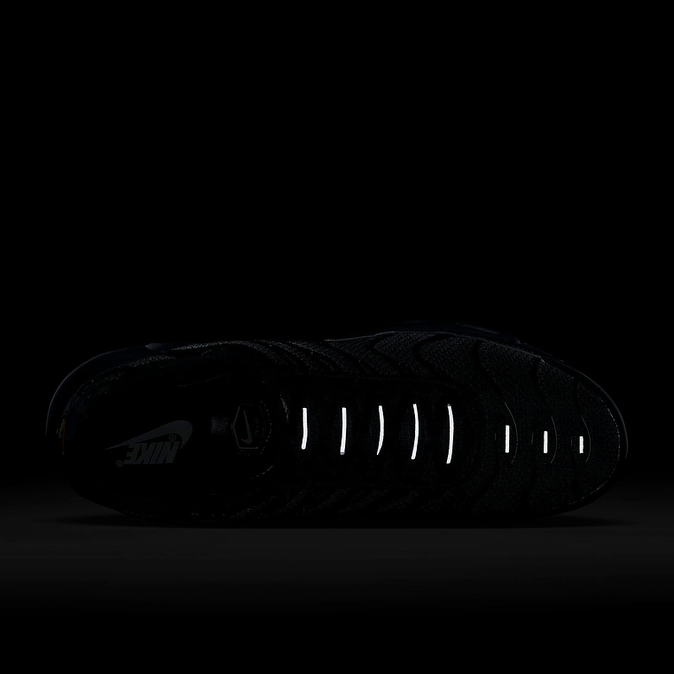 Nike Air Max Plus 10