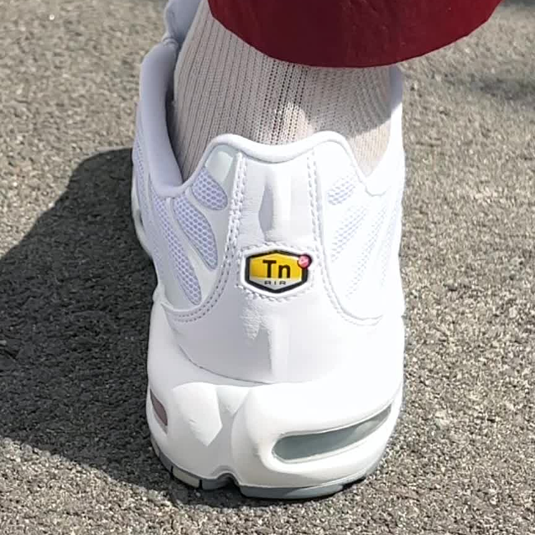 Nike Air Max Plus 18