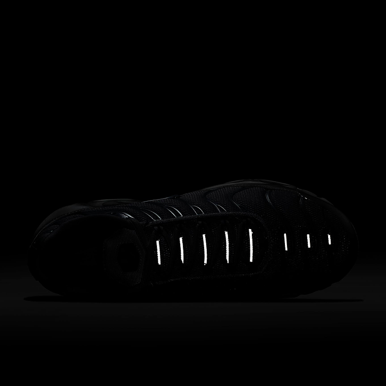 Nike Air Max Plus 19