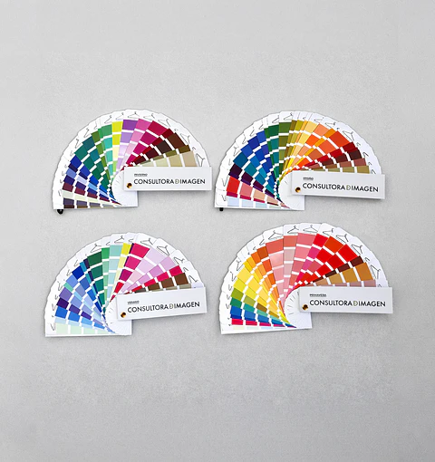 SET DE 4 PALETA DE COLORES