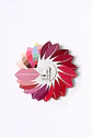 SET DE 4 PALETA DE LABIOS - Miniatura 5