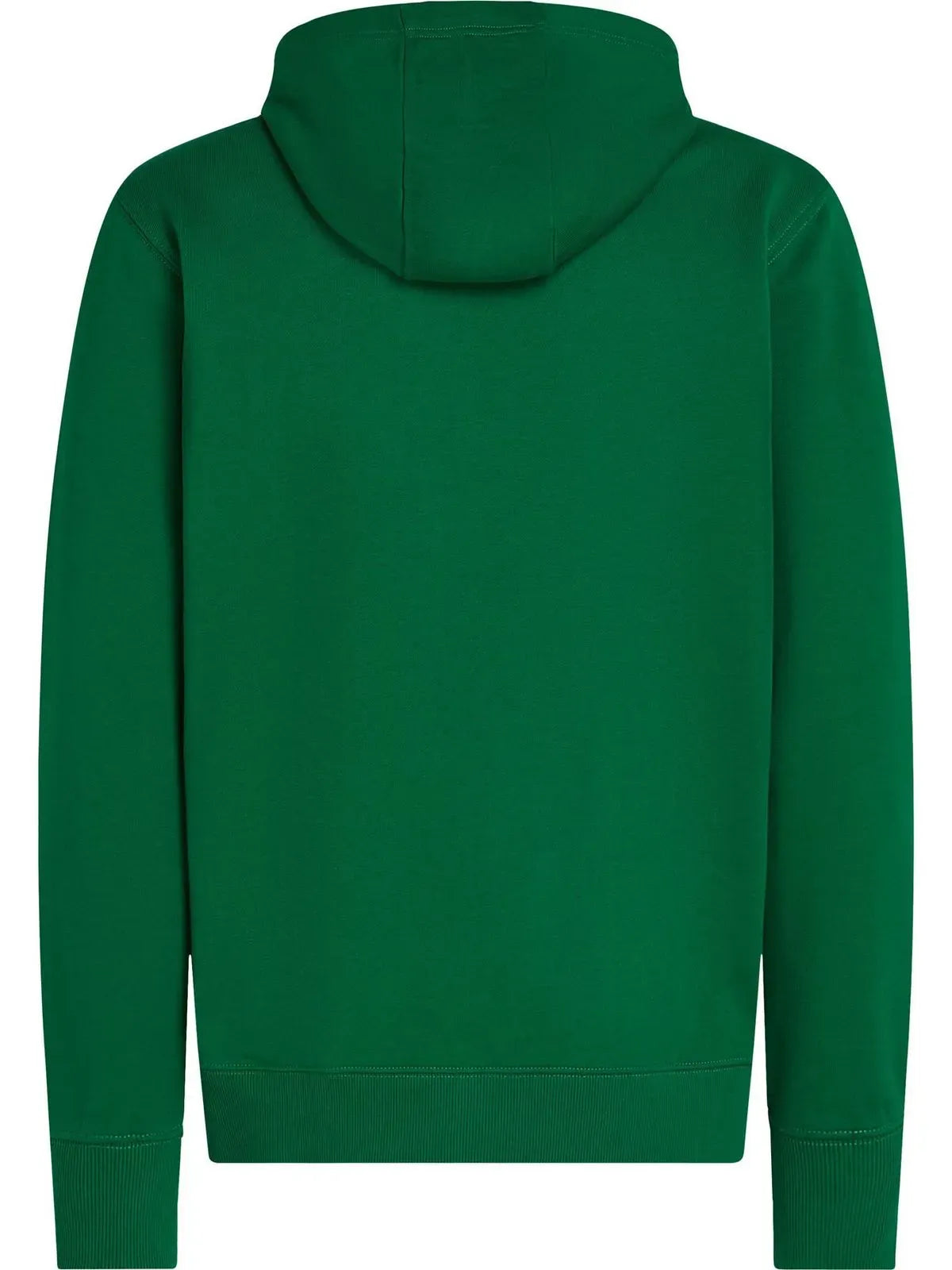 SWEATSHIRT ESSENTIAL TERRY HOODY TH 2