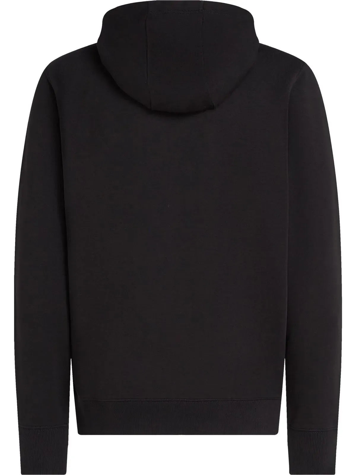 SWEATSHIRT ESSENTIAL TERRY HOODY TH 2