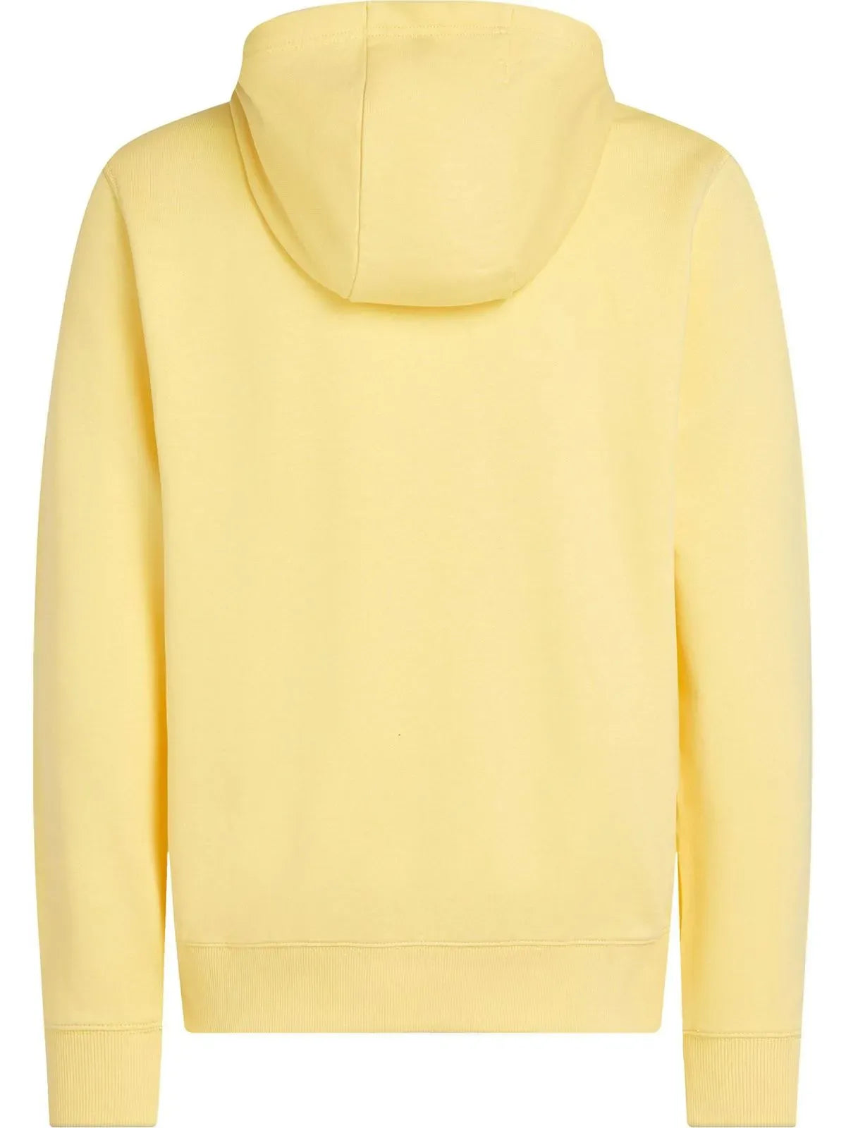 SWEATSHIRT ESSENTIAL TERRY HOODY TH 2