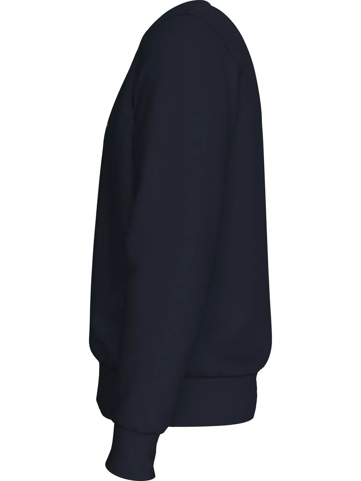 SWEATSHIRT ESSENTIAL TERRY CREWNECK TH 2