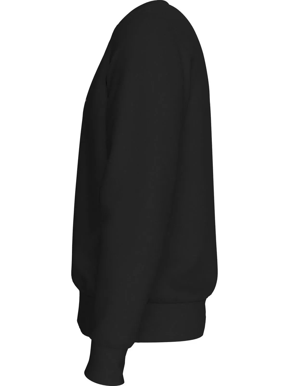 SWEATSHIRT ESSENTIAL TERRY CREWNECK TH 2