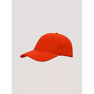 GORR0 AM MINI FLAG CAP TH