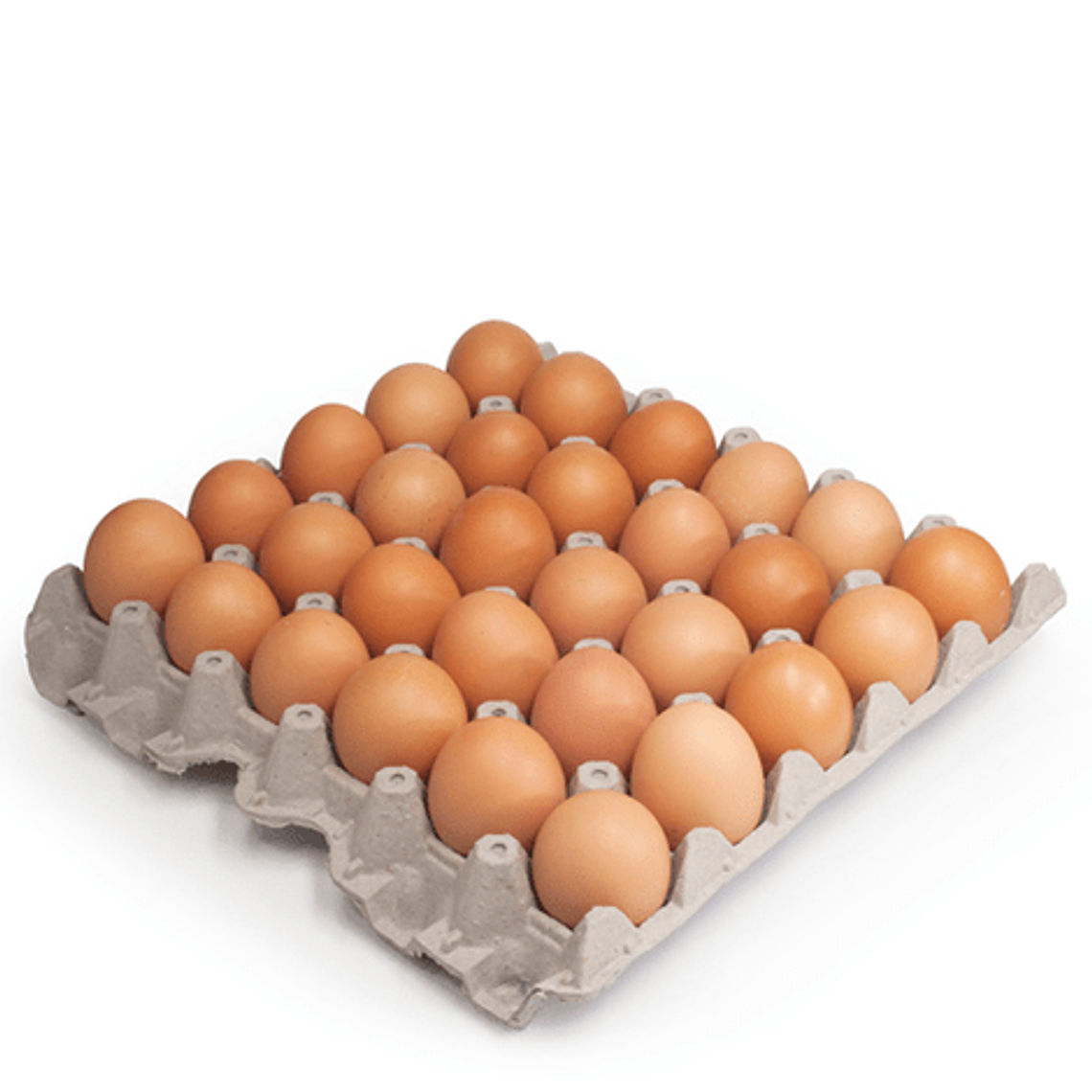 30 HUEVOS COLOR - TAMAÑO EXTRA 1