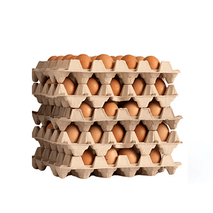SUSCRIPCIÓN: 4 BANDEJAS DE 30 HUEVOS EXTRA