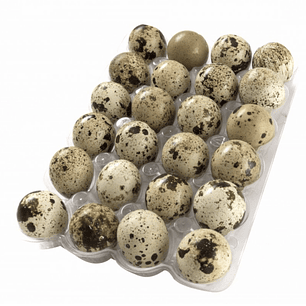 HUEVOS DE CODORNIZ - 24 ÚNIDADES