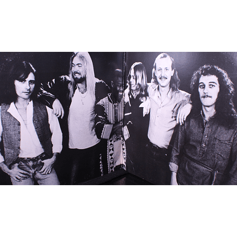 Allman Brothers Band – Enlightened Rogues (1a Ed USA)