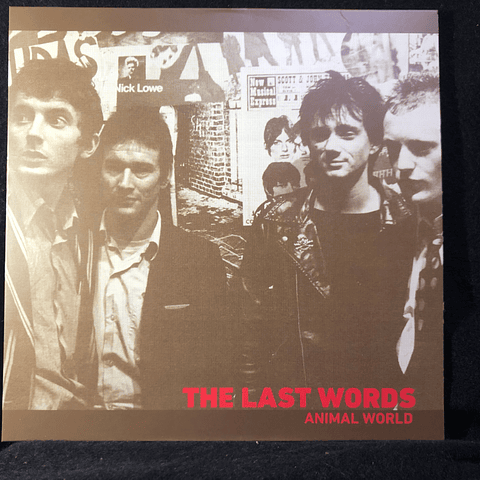 Last Words – Animal World