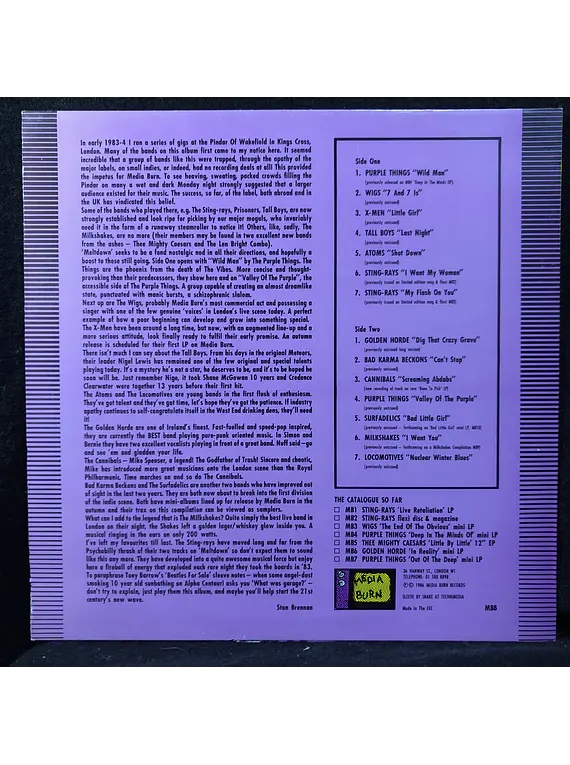 Various (Punk Garage) – Meltdown On Media Burn (UK)