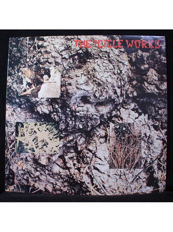 Icicle Works, The (Ed UK '84)