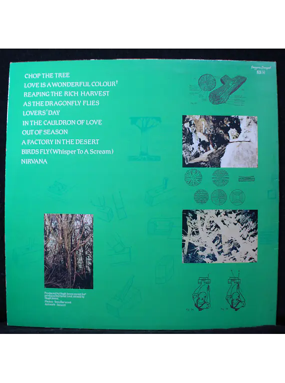 Icicle Works, The (Ed UK '84)