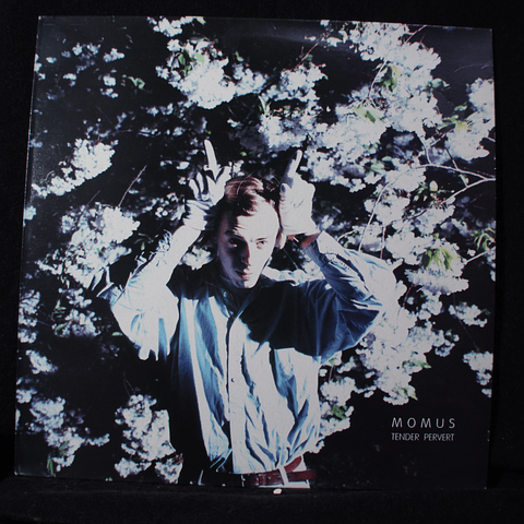 Momus – Tender Pervert (1a Ed. UK)