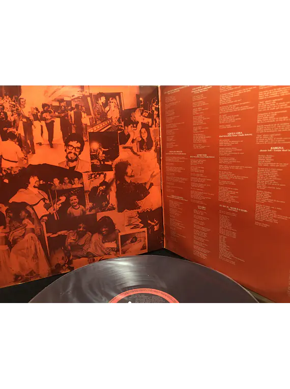 Raul Seixas (Carimbador Maludo)