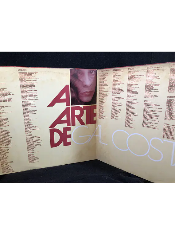 Gal Costa – A Arte 