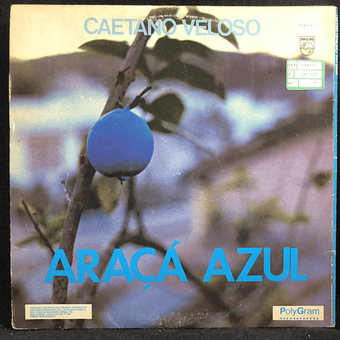 Caetano Veloso – Araçá Azul