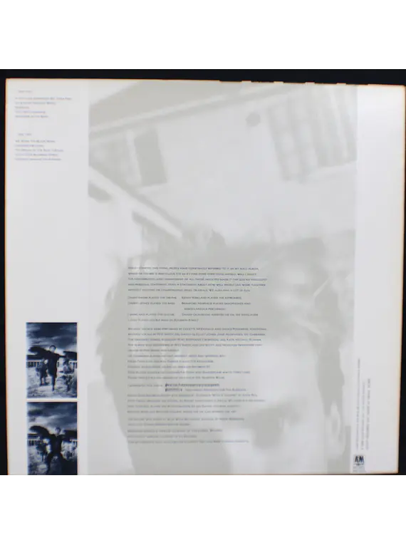 Sting – The Dream Of The Blue Turtles (Ed. Japón) 