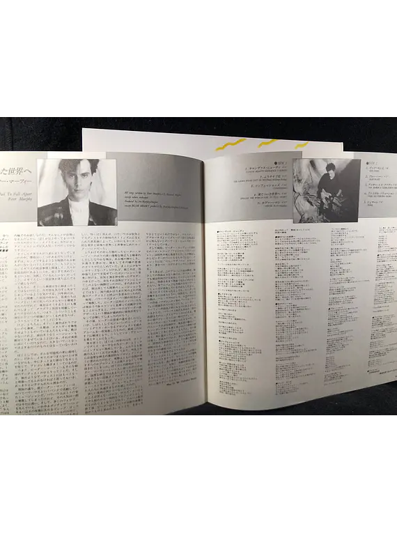 Peter Murphy – Should The World Fail To Fall Apart (Ed Japón)