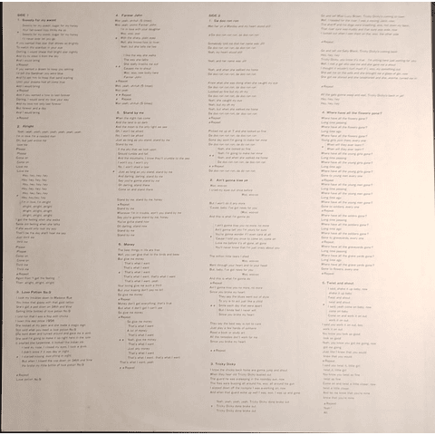 Searchers The – Meet The Searchers