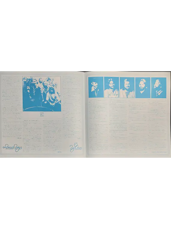 Beach Boys, The – 15 Big Ones 