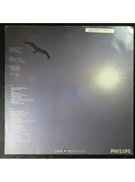 Gal Costa – Minha Voz