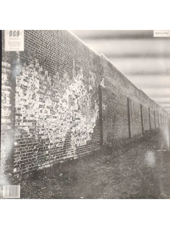 Edgar Broughton Band* – In Side Out