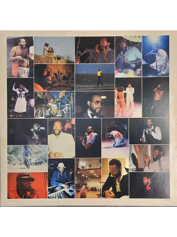 Marvin Gaye – Dream Of A Lifetime