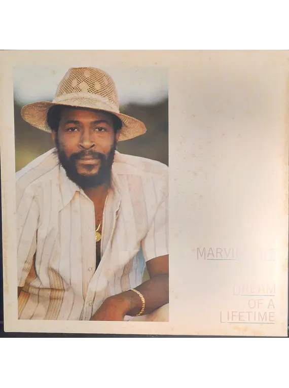 Marvin Gaye – Dream Of A Lifetime