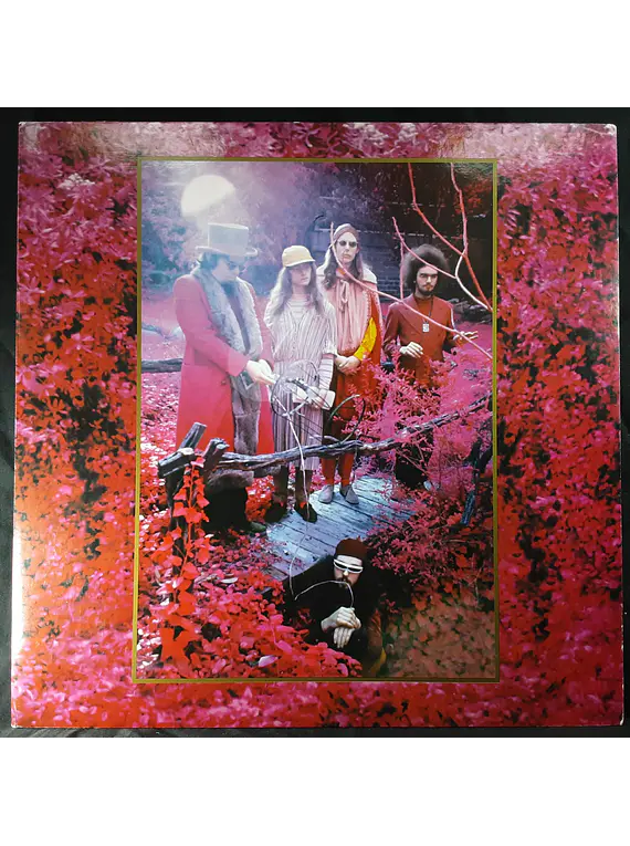 Captain Beefheart & His Magic Band* – Grow Fins Vol. II: Trout Mask House Sessions