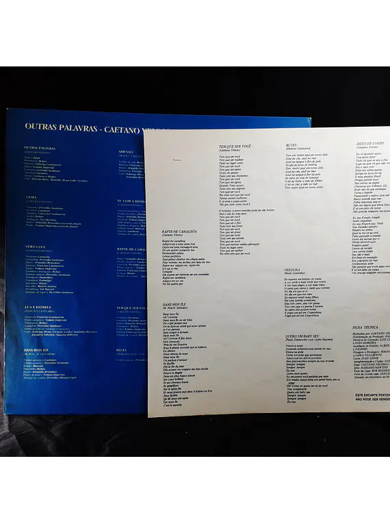 Caetano Veloso – Outras Palavras