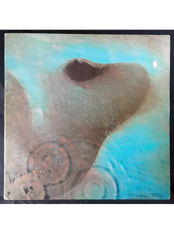 Pink Floyd – Meddle