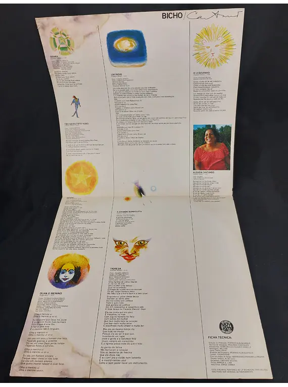 Caetano Veloso – Bicho