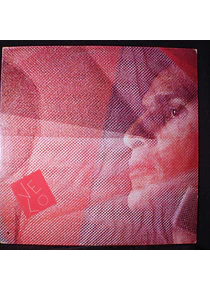 Caetano Veloso ‎– Velô