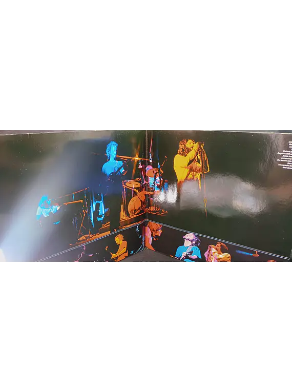 Doors, The – Absolutely Live