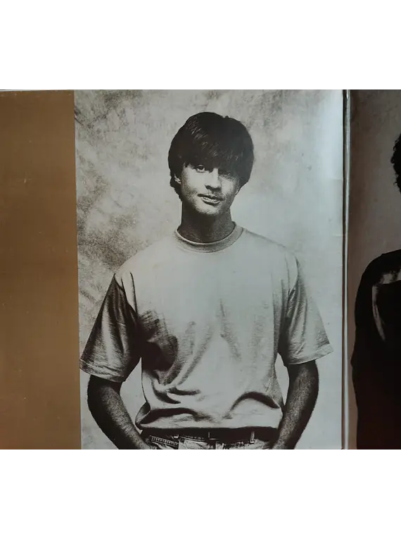 Legião Urbana – V