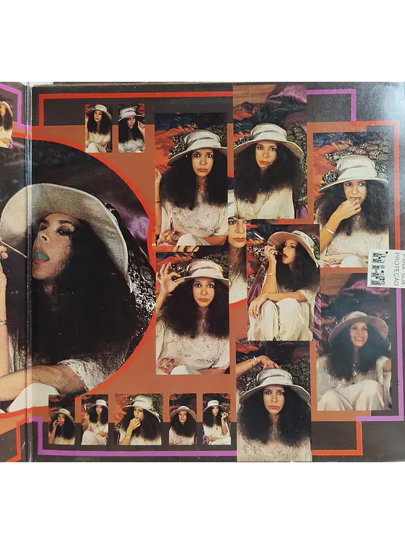 Gal Costa ‎– Caras E Bocas