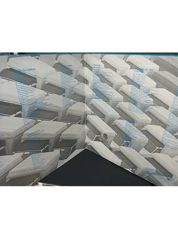 Gilberto Gil – Raça Humana