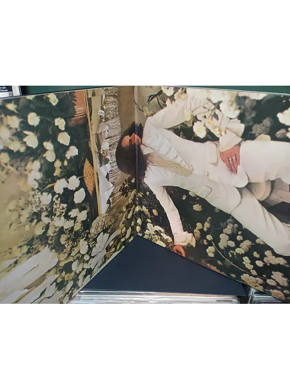 Maria Bethânia – Pássaro Da Manhã