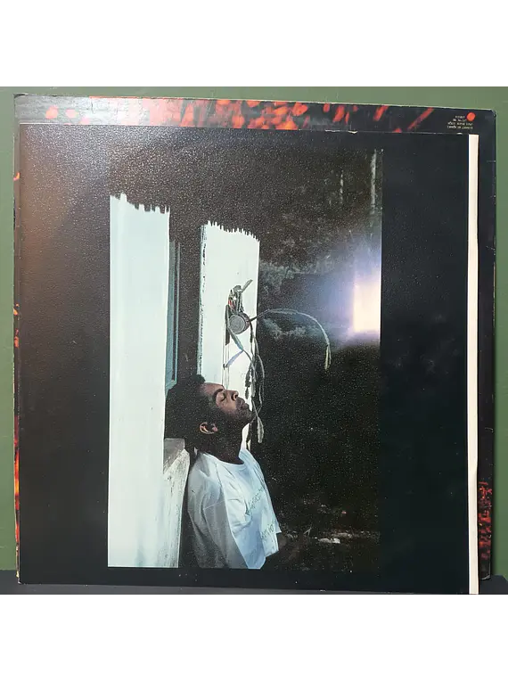 Gilberto Gil – Dia Dorim Noite Neon