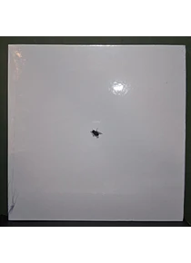 Walter Franco – Ou Não