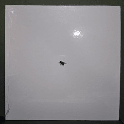 Walter Franco – Ou Não