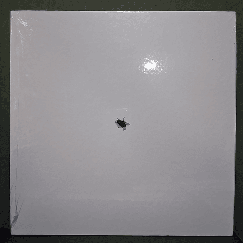 Walter Franco – Ou Não