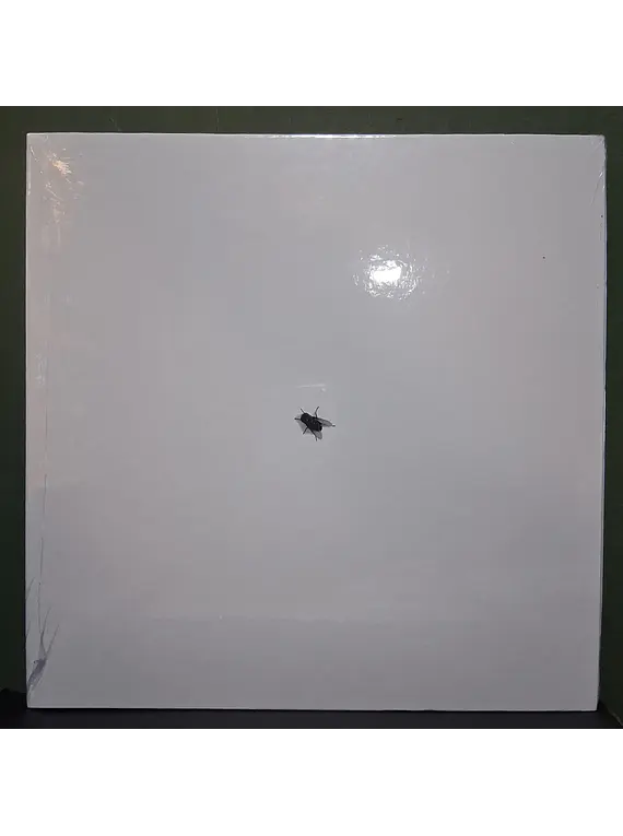 Walter Franco – Ou Não