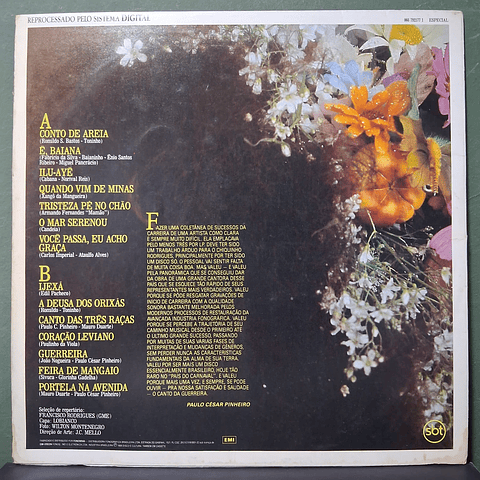 Clara Nunes – O Canto Da Guerreira