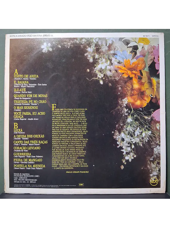 Clara Nunes – O Canto Da Guerreira