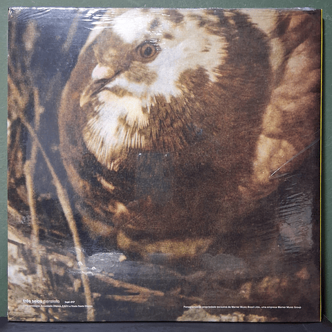 Novos Baianos – Novos Baianos F.C.