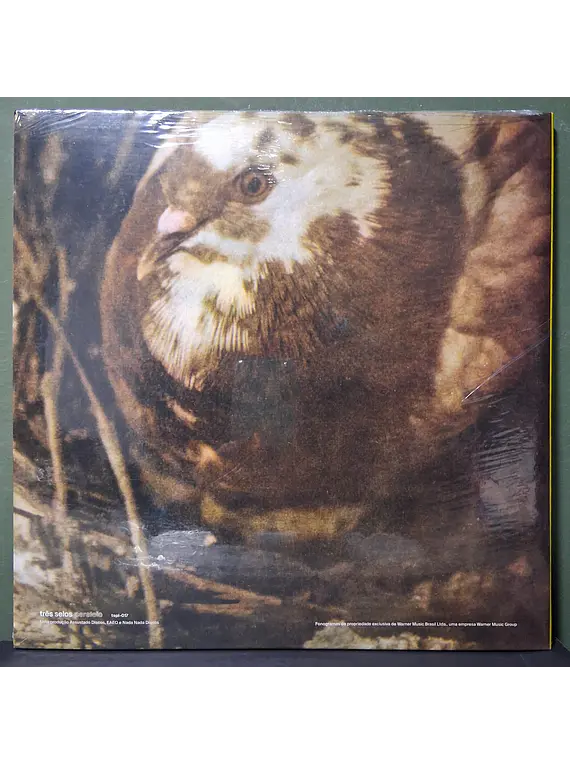 Novos Baianos – Novos Baianos F.C.